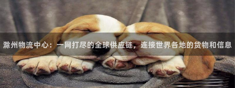 28圈加拿大模拟器：滁州物流中心：一