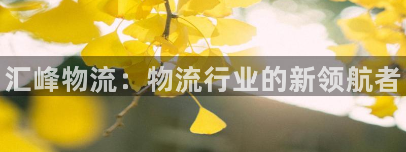 28圈官网链接