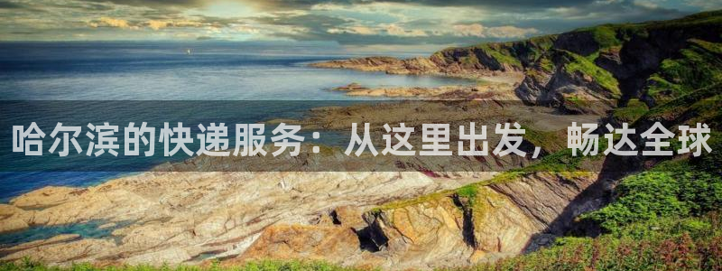 28圈官网注册：哈尔滨的快递服务：从