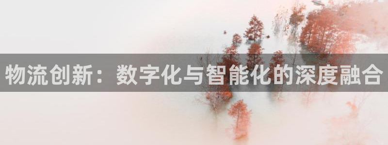 28圈稳吗：物流创新：数字化与智能化