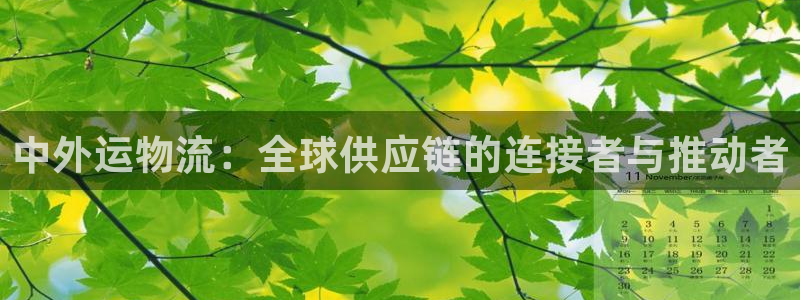 28圈注册步骤：中外运物流：全球供应