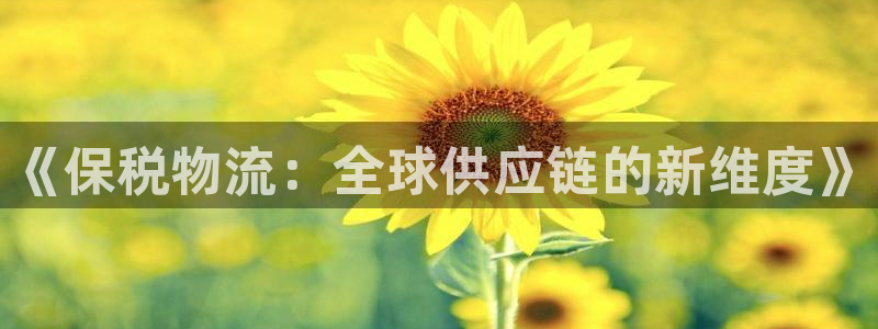 28圈ip被限制怎么解决：《保税物流