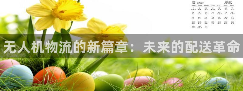 28圈预测：无人机物流的新篇章：未来的配送革命