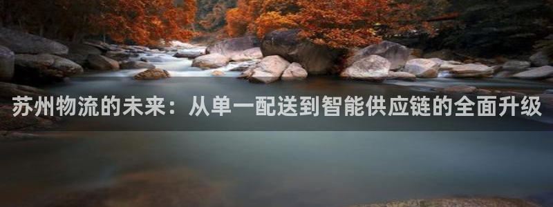 28圈是干嘛的：苏州物流的未来：从单
