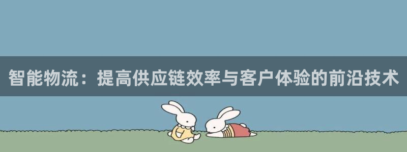 28圈注册链接教程：智能物流：提高供应链效率与客户体验的前沿