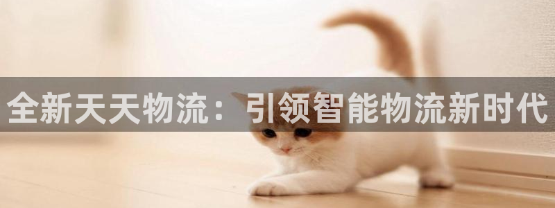 28圈充值为什么充不了：全新天天物流