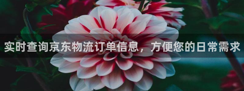 28圈软件：实时查询京东物流订单信息
