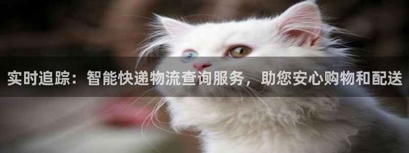 28圈违法吗：实时追踪：智能快递物流