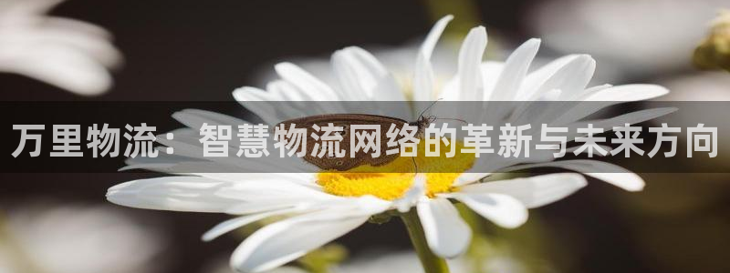 28圈官方官网版：万里物流：智慧物流