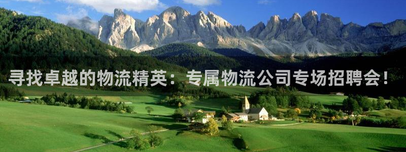 28圈分分28预测：寻找卓越的物流精