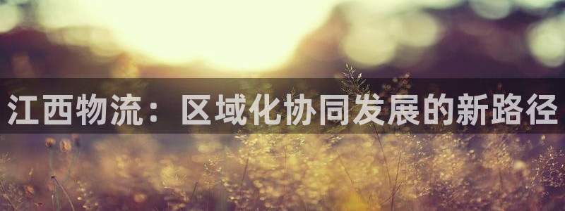 28圈下载不了：江西物流：区域化协同