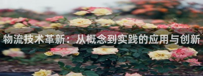 28圈下载不了
