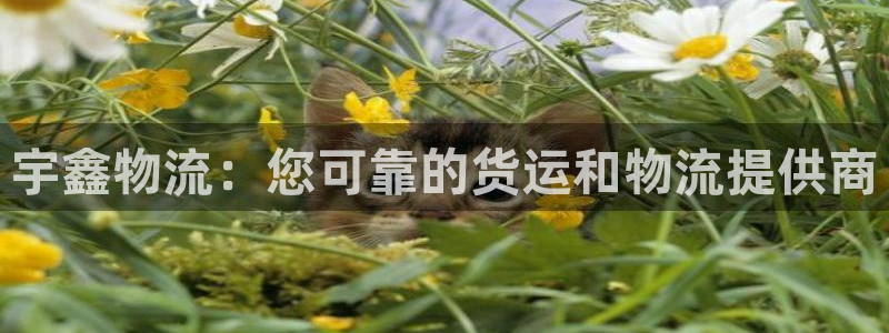 28圈反水