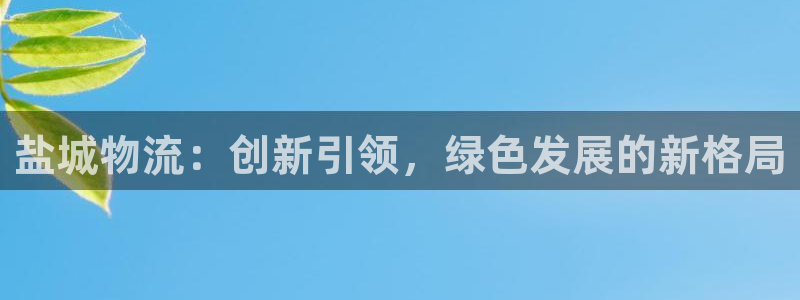 28圈游戏
