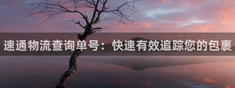 28圈防失联网址