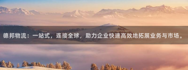 28圈如何看012路计划：德邦物流：一站式，连接全球，助力企